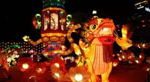The-Mid_Autumn-Festival-in-Vietnam-3 Booking tours