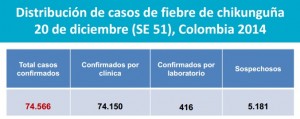 cuadro chikunguña