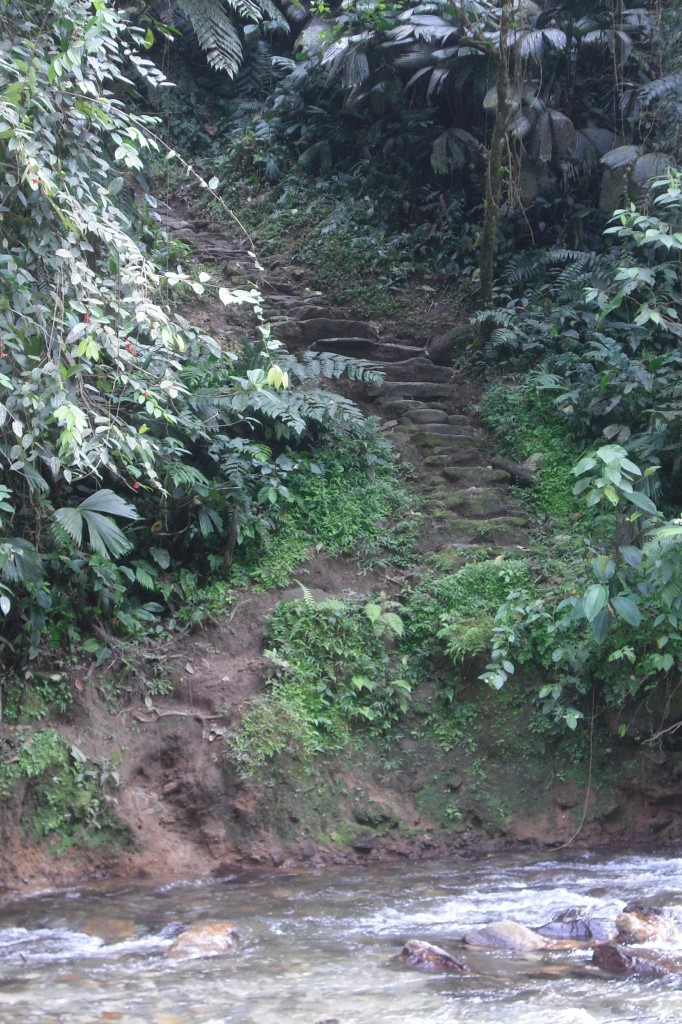 The steps to Colombia's La Ciudad Perdida, The Lost City.