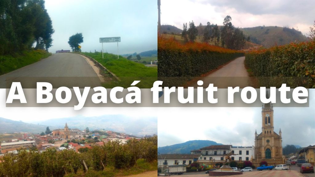 Fruit for thought: The Tierra Negra-Nuevo Colón-Turmequé road is a ready-made tourist route.