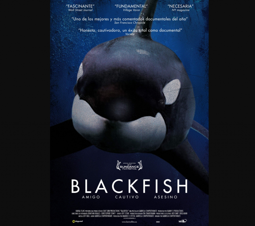 Imagen: Documental Blackfish. Director: Gabriela Cowperthwaite. Productora: CNN Films. Distribución: Magnolia Pictures. Estudio: CNN Films/ Manny O. Productions