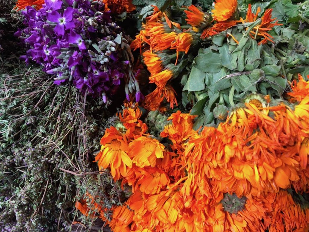 Foto: Victoria Puerta. Hierbas, flores y productos que hablan de un país diverso y colorido.