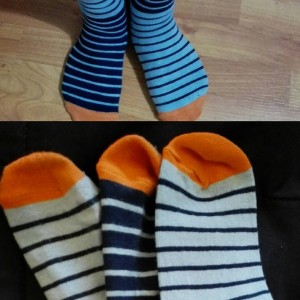 marmotazos-sockshappens