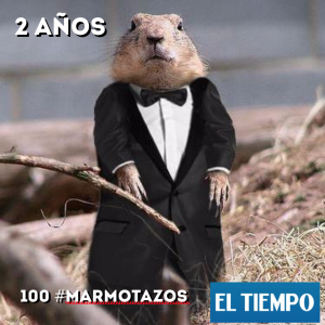 marmotazos-2-an%cc%83os