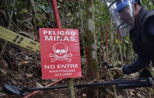 (FILE) Picture taken on March 3, 2015 of a Colombian soldier searching for landmines --laid by Guerrillas fighters-- as part of the humanitarian demining, in Campo Alegre, Cocorna municipality, East of Antioquia department, Colombia. The Bogota government and the Revolutionary Armed Forces of Colombia --who have been negotiating for more than two years in Havana to bring an end to the 50-year insurgency-- reached a demining agreement which means a "great progress" in peace talks, the Secretary General of the Organization of American States Jose Miguel Insulza said on March 10, 2015.   AFP PHOTO/RAUL ARBOLEDA