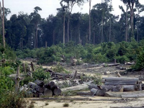 Colombia Deforestación