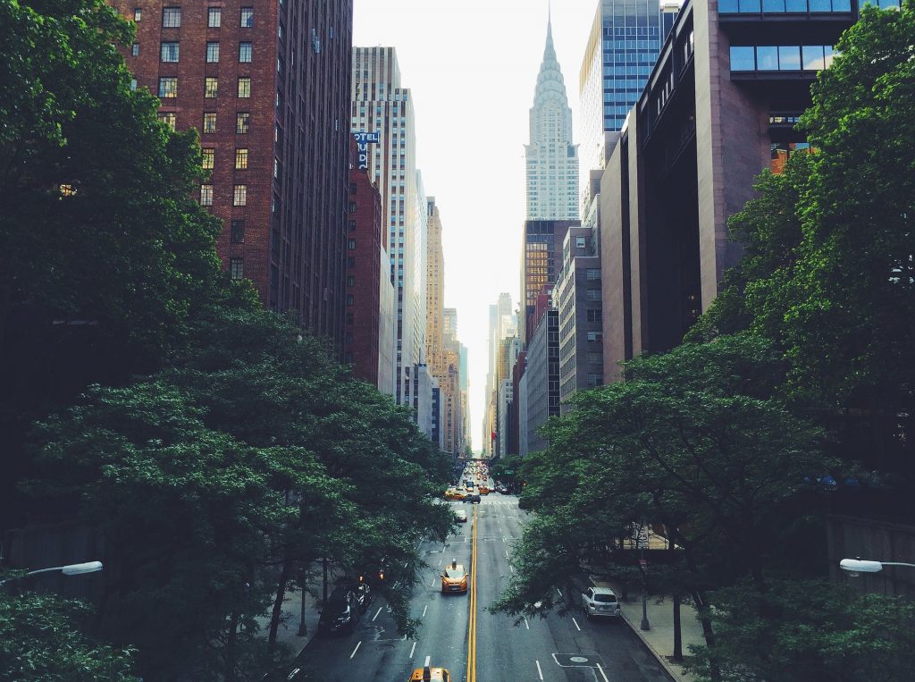 Imagen 1. Calles y rascacielos de New York.