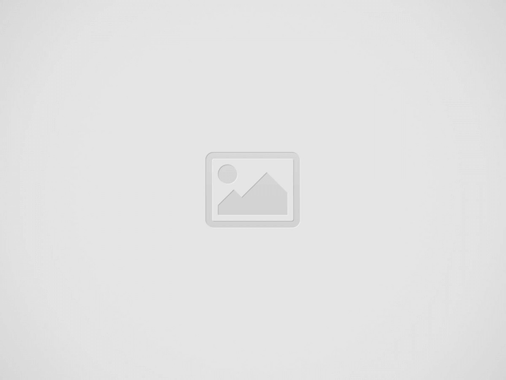 256eae01-0f16-4d5d-adf0-e71bc2ed1a7b