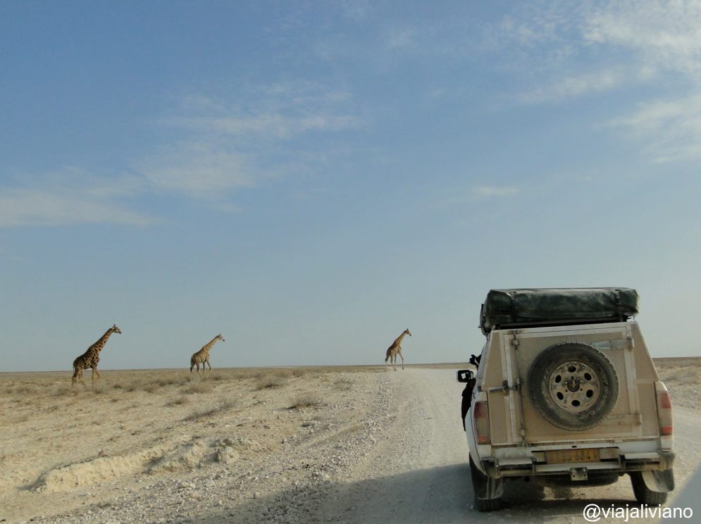 Safari self-drive en Namibia