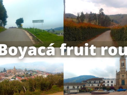 A Boyacá fruit route: Tierra Negra-Nuevo Colón-Turmequé