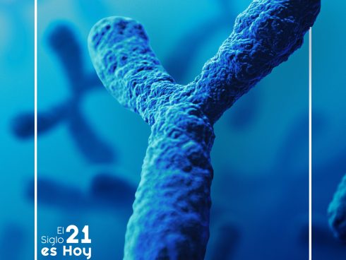 La revolución de los cromosomas artificiales - El Siglo 21 es Hoy - Tecnología, Ciencia, Entretenimiento Digital