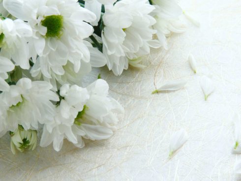 Significado de las flores en el duelo y los funerales | Blogs El Tiempo