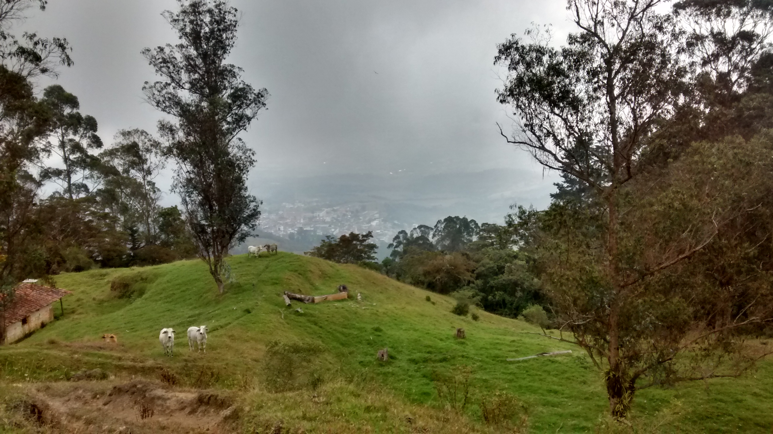 Walking the hills around Vélez, Santander, Colombia.