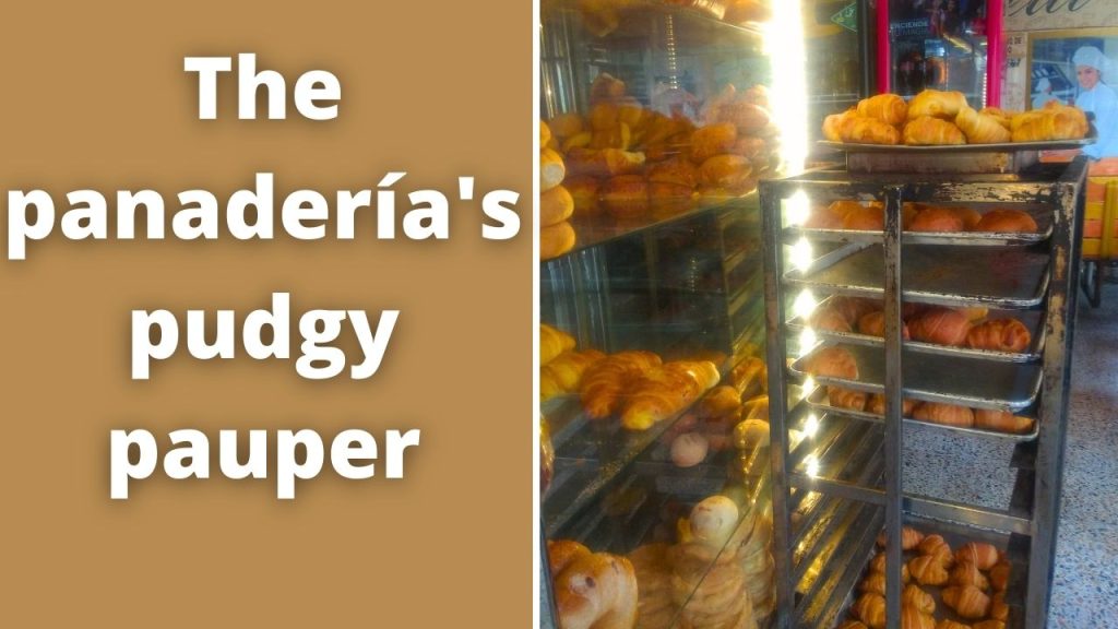 The panadería's pudgy pauper