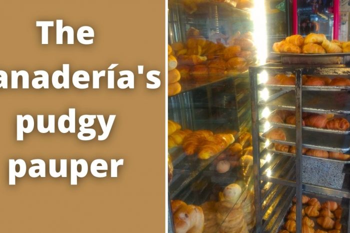 The panadería's pudgy pauper