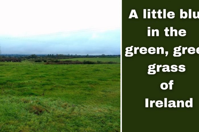 A little blue in the green, green grass of Ireland