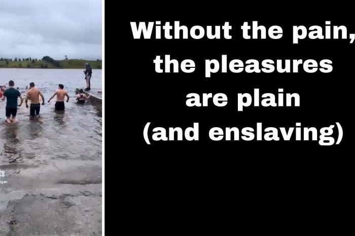 Without the pain, the pleasures are plain (and enslaving)